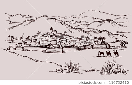 Magi go to Bethlehem. Vector drawing 116732410