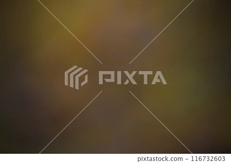 Grainy dark yellow Color gradient abstract background, noise texture effect Grainy dark yellow Color gradient abstract background, noise texture effect 116732603