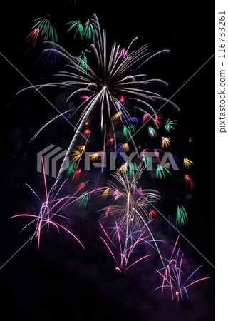 Beautiful fireworks 116733261