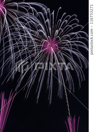 煙花蔓延到夜空 116733271
