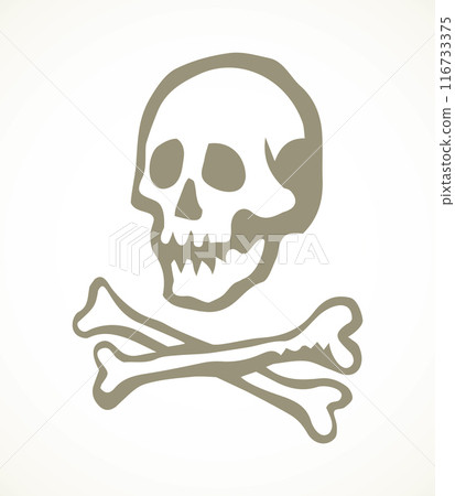 Skull and Bones. Vector drawing 116733375