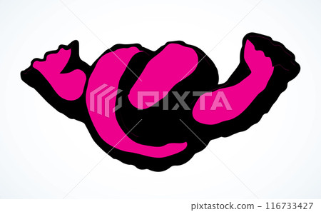 The lace is tied to a knot. Vector drawing 116733427