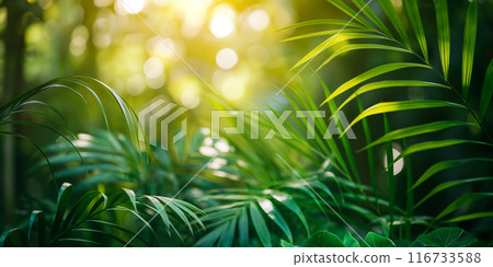 Soft Focus Palm Leaves in Sunlight. Generative AI Soft Focus Palm Leaves in Sunlight. Generative AI 116733588