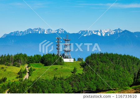美原高原的小花和八里穗高山脈 116733610