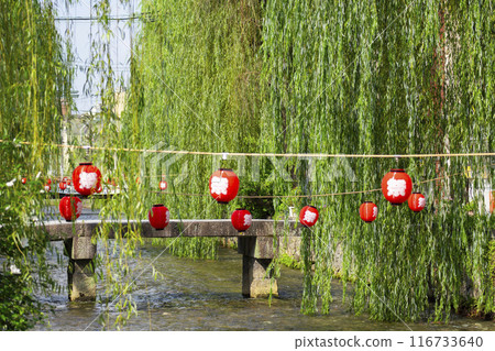 Scenery of Umemiya Bridge and willow trees lined the Shirakawa River in Higashiyama Ward, Kyoto City Scenery of Umemiya Bridge and willow trees lined the Shirakawa River in Higashiyama Ward, Kyoto City 116733640