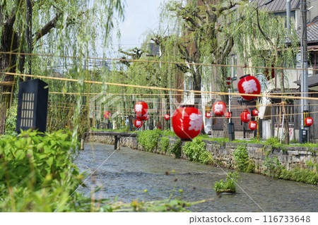 京都市東山區一橋和白川上的柳樹風景 京都市東山區一橋和白川上的柳樹風景 116733648