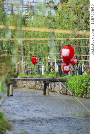 京都市東山區一橋和白川上的柳樹風景 116733649
