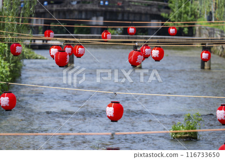 京都市東山區一橋和白川上的柳樹風景 116733650