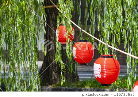 Higashiyama Ward, Kyoto City: Scenery of Shirakawa River and willow trees lined with trees; Lanterns at the summer festival 116733655