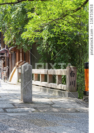 Kyoto/Gion Shirakawa Tatsumi Bridge Fresh green season 116733658