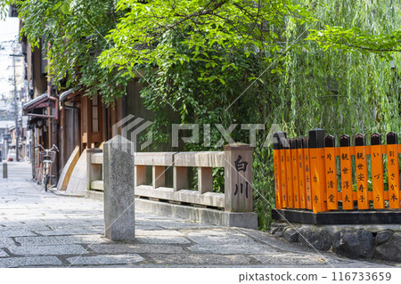 Kyoto/Gion Shirakawa Tatsumi Bridge Fresh green season 116733659