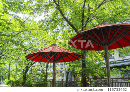 Kyoto Gion Shirakawa Tunnel of fresh greenery Red umbrella sunshade 116733662