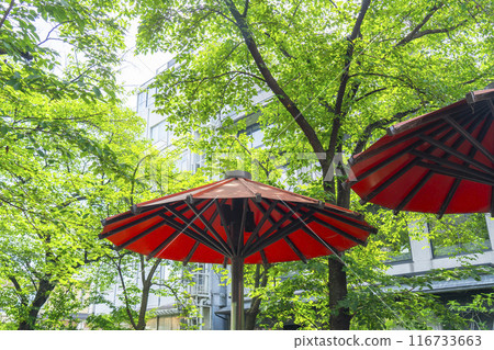 Kyoto Gion Shirakawa Tunnel of fresh greenery Red umbrella sunshade 116733663