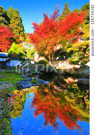 [Shiga Prefecture] Upside down autumn leaves in the garden of Saikyoji Temple on a clear day 116734282