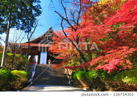 [滋賀縣]晴天時三井寺（圓成寺）的近藤堂和秋葉 116734301