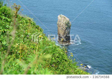 Kiritappu Point 116734388
