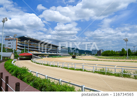 Seoul Racecourse dirt course and grandstand [Gwacheon City, Korea] 116734565