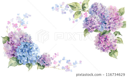 Romantic hydrangea watercolor illustration frame background 116734629