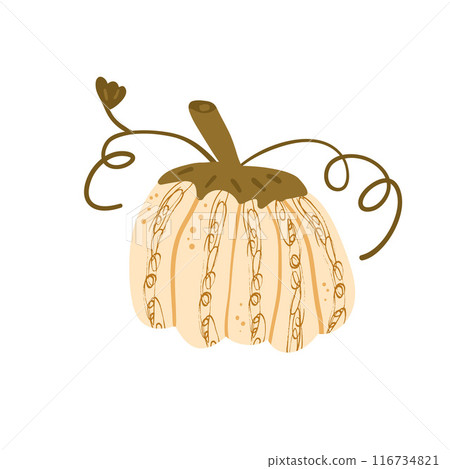 Stylized pumpkin isolated on white background. Textured ripe vegetable harvest. Vector hand drawn flat illustration 116734821