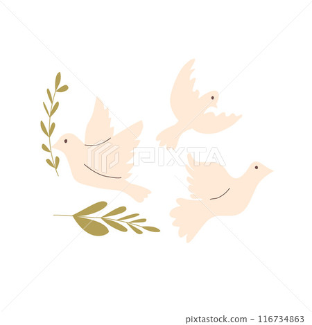 Dove of peace set isolated on white background. Vector hand drawn flat illustration 116734863