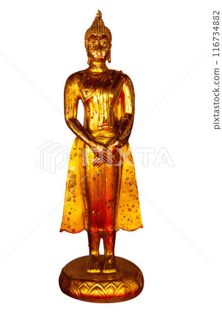 Buddha statue on white background Buddha statue on white background 116734882