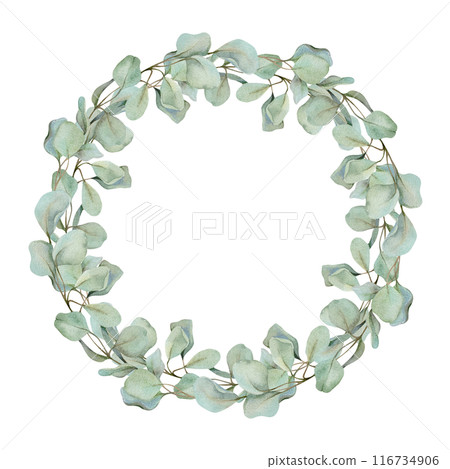 Eucalyptus laurel branches, leaves. Watercolor hand drawn illustration, wreath chaplet crown frame isolated on white. Xmas, happy new year festive, noel navidad. For cards, florist, wedding gifts Eucalyptus laurel branches, leaves. Watercolor hand drawn illustration, wreath chaplet crown frame isolated on white. Xmas, happy new year festive, noel navidad. For cards, florist, wedding gifts 116734906