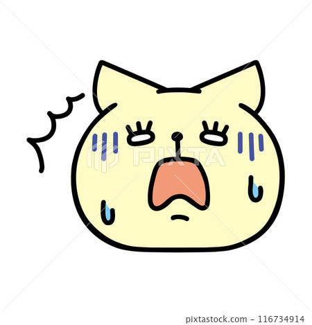 Shocked cat Shocked cat 116734914