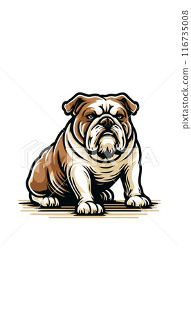 Color image of an English Bulldog with a sturdy, tough look and a friendly disposition. Color image of an English Bulldog with a sturdy, tough look and a friendly disposition. 116735008
