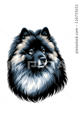 荷蘭毛毛獵犬的彩色影像。它的特點是毛茸茸的皮毛和友善的個性。 荷蘭毛毛獵犬的彩色影像。它的特點是毛茸茸的皮毛和友善的個性。 116735031