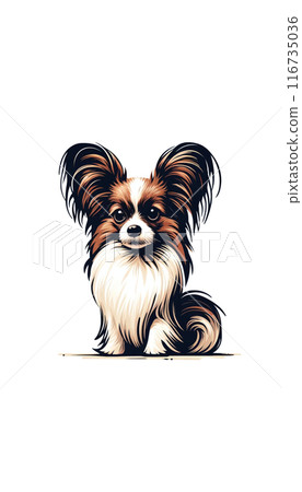 法國蝴蝶犬的彩色影像。它的特徵是體型小,耳朵像蝴蝶。 法國蝴蝶犬的彩色影像。它的特徵是體型小,耳朵像蝴蝶。 116735036