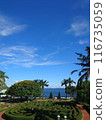 beautiful tropical sea and land with palm tree 116735059