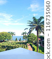 beautiful tropical land and sea with coconut palm tree 116735060