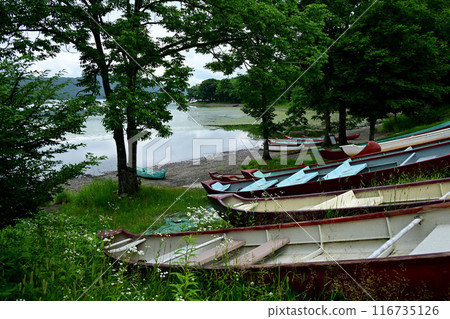 Lake Toro in summer Lake Toro in summer 116735126