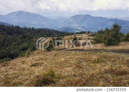 beautiful mountain landscape beautiful mountain landscape 116735339