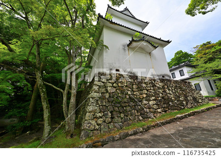 田原城的塔樓和曲線(三河國) 田原城的塔樓和曲線(三河國) 116735425