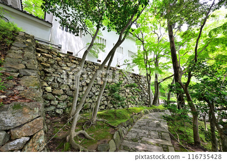 田原城的塔樓和曲線（三河國） 116735428