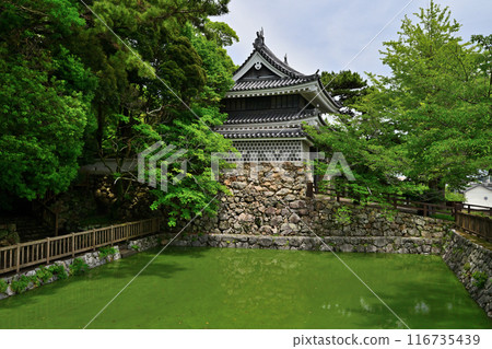 田原城的塔樓和曲線（三河國） 116735439