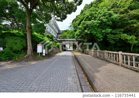 田原城的塔樓和曲線（三河國） 116735441