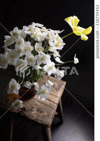vase with anemones on a black background 116735452
