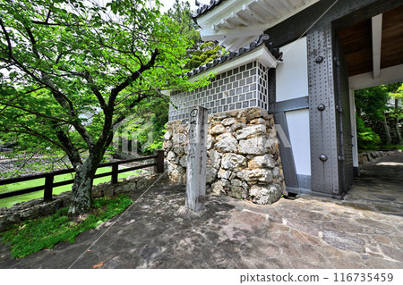 田原城的塔樓和曲線（三河國） 116735459