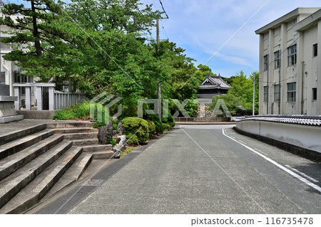 田原城的塔樓和曲線(三河國) 田原城的塔樓和曲線(三河國) 116735478