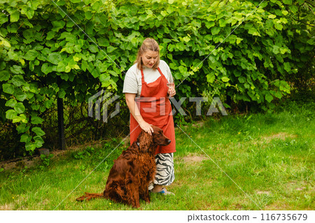 30s Woman in apron with dog tasting pink wine in vineyard. Portrait of pretty young woman holding glass of wine. Happy vintner drinks wine after successful grape harvesting. Harvest time, full body 116735679