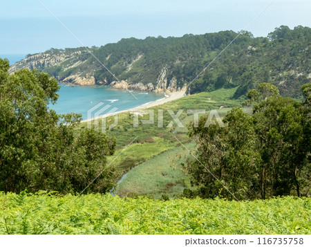 Barayo beach Nature Reserve, Asturias,Spain Barayo beach Nature Reserve, Asturias,Spain 116735758