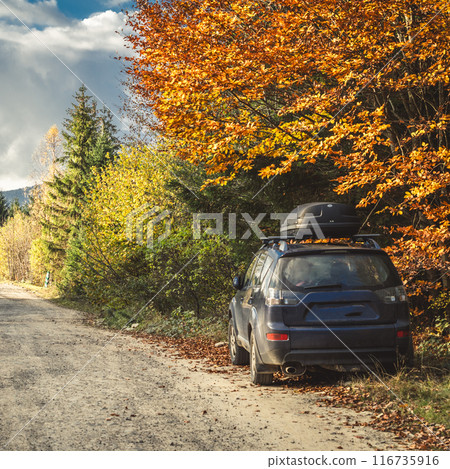 car for traveling with a mountain road 116735916