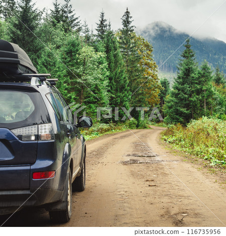 car for traveling with a mountain road 116735956