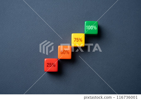 Growing percentages up to 100. Progress bar. Breaking progress into stages. Evaluation of the quality of services and satisfaction. Completion of the mission task. Maximum efficiency. 116736001