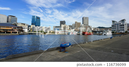 Pollard at the central pier of Kobe Port (Kobe City, Hyogo Prefecture) Pollard at the central pier of Kobe Port (Kobe City, Hyogo Prefecture) 116736099