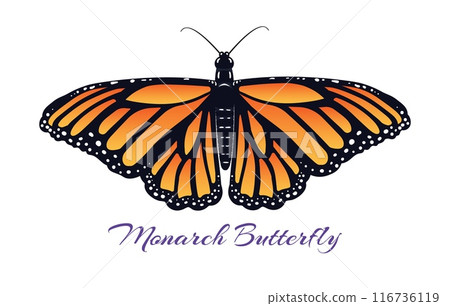 Monarch butterfly emblem Monarch butterfly emblem 116736119