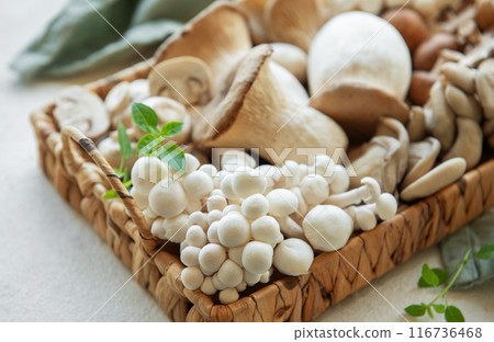 Assortment of various raw mushrooms 116736468
