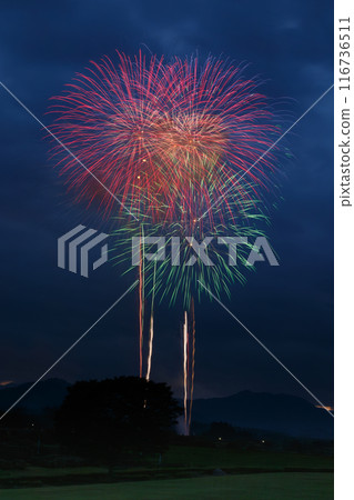 著色夏夜天空的煙花 116736511